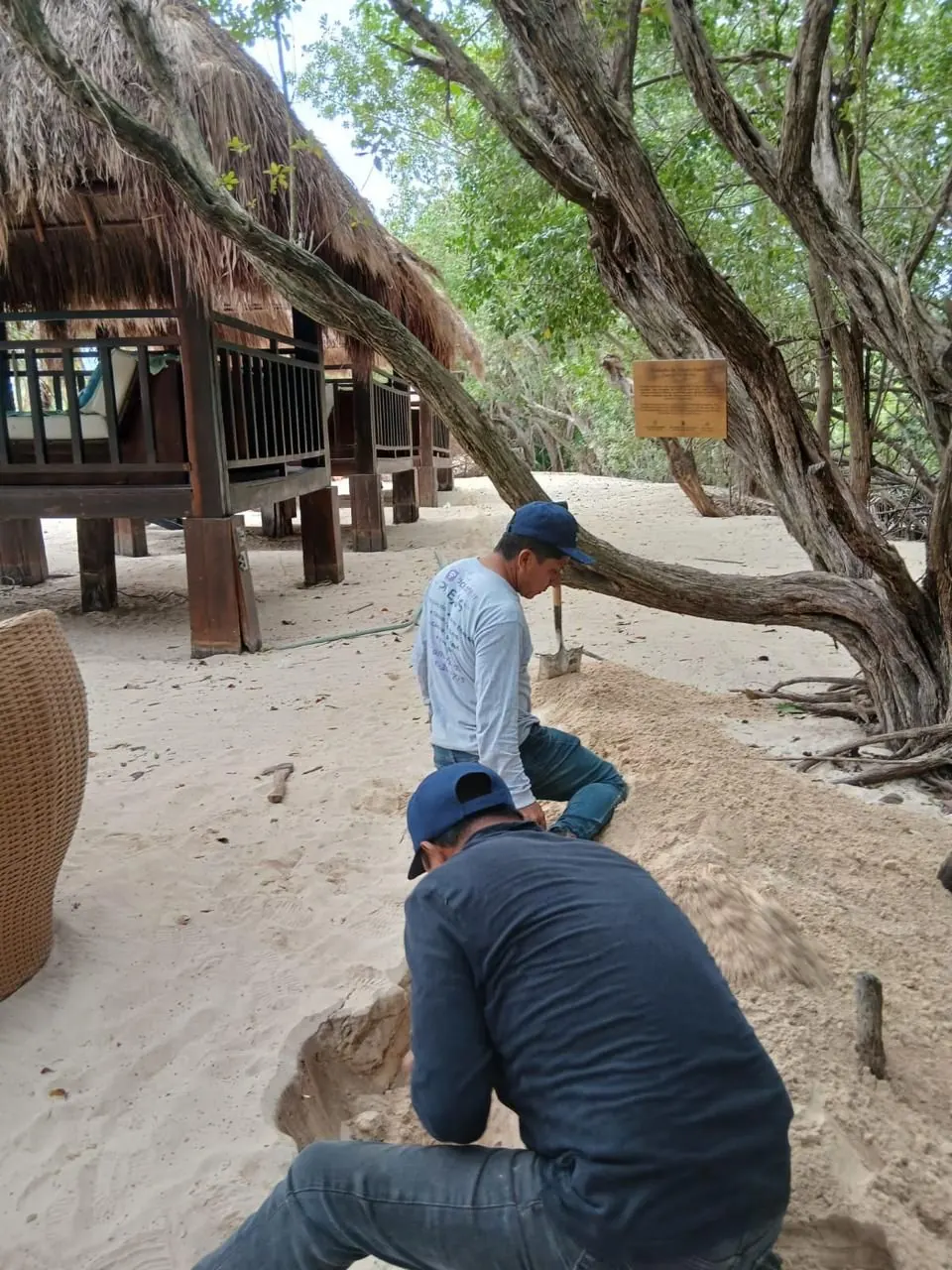 Excavación para canalización junto a palapas